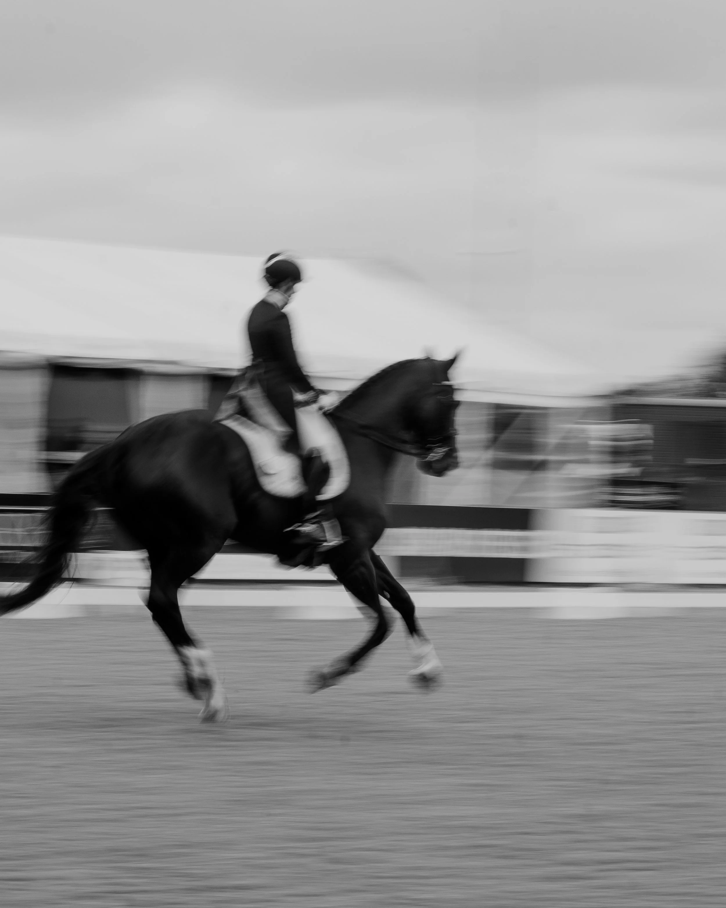 Saddles — Aviar Saddles